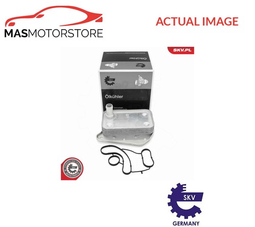 Radiatore olio motore skv - radiatore,